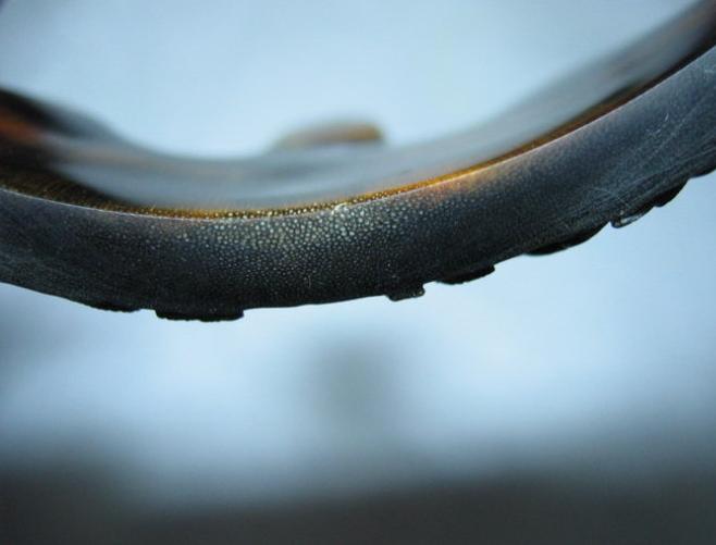 犀角中医讲解,有关犀角的辨别所有视频总汇