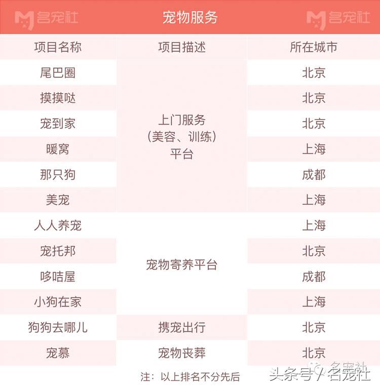 杭州互联网宠物公司有哪些,厦门宠物互联网公司有哪些