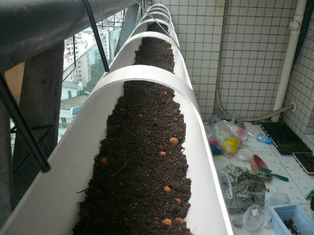 水管打孔种菜,pvc水管怎么打洞种菜