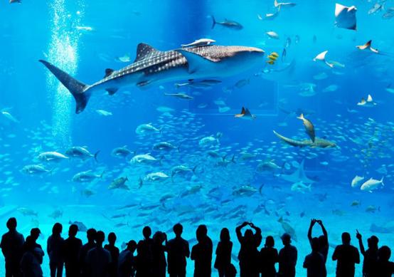 一生必须去一次这样的地方,一生一定要去体验一次