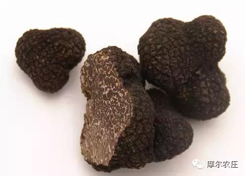 衡水你好，我叫云南，这是我的简历