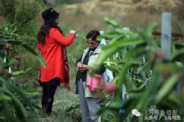 最好的旅游就是陪伴,一场美好的旅行是爱的陪伴