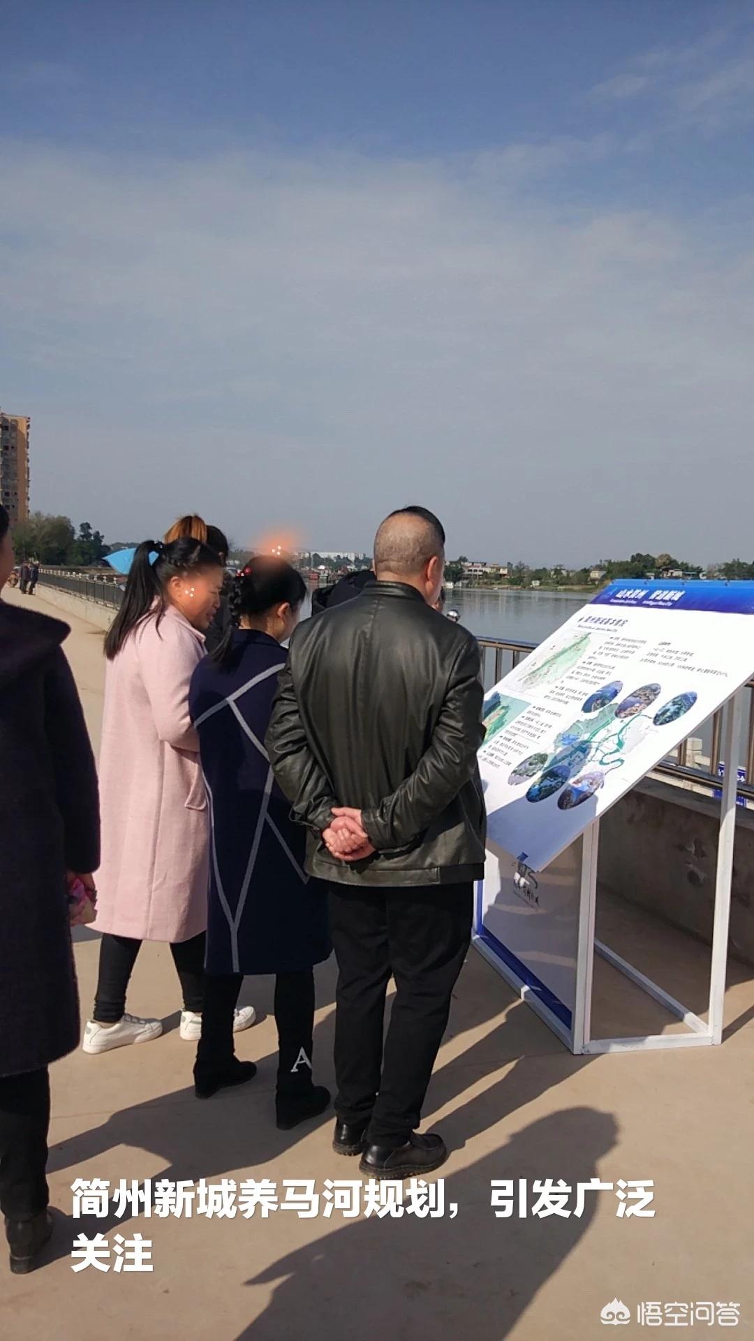 成都东进简州新城,简州新城养马镇松树湾村最新规划