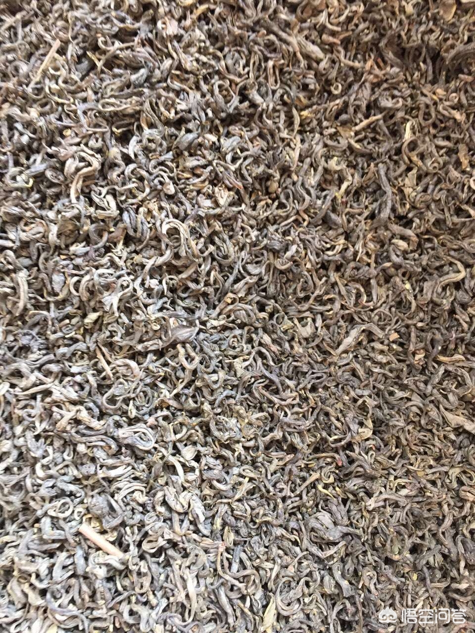 台地茶和高山茶有什么不同,山地茶和台地茶的区别