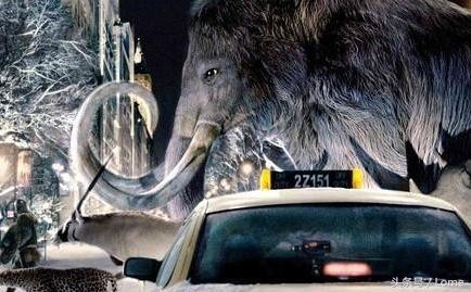 十部9.0高分喜剧电影观影,生活需要一点甜电视剧全集