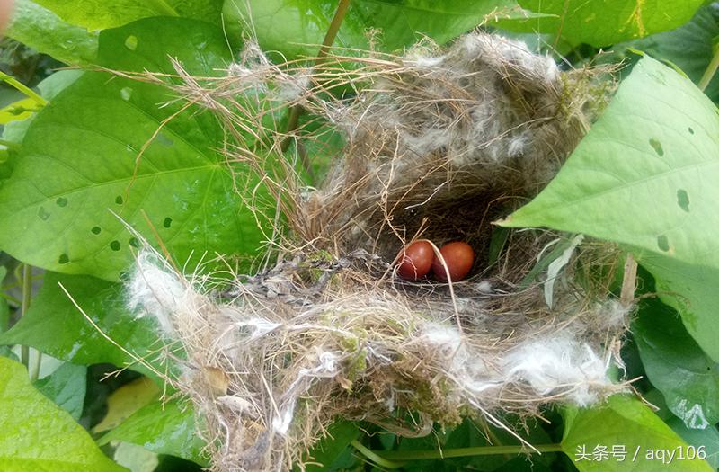 魅蓝青年良品店,魅蓝note3全部功能介绍