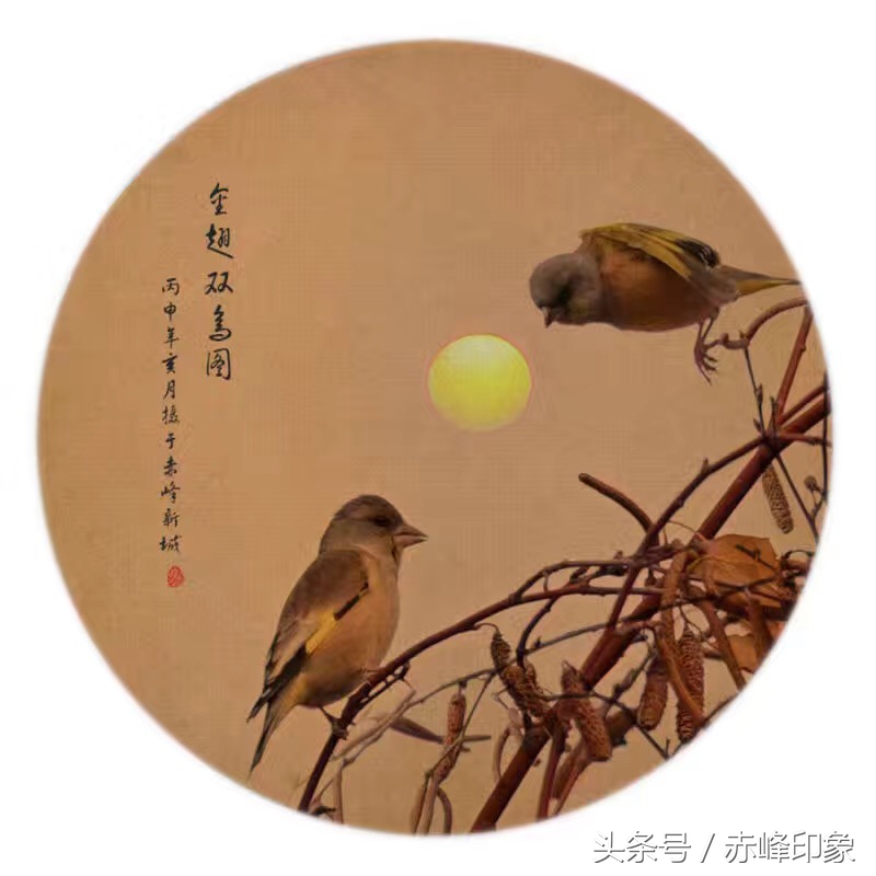 常闻摄影作品欣赏｜双鸟图