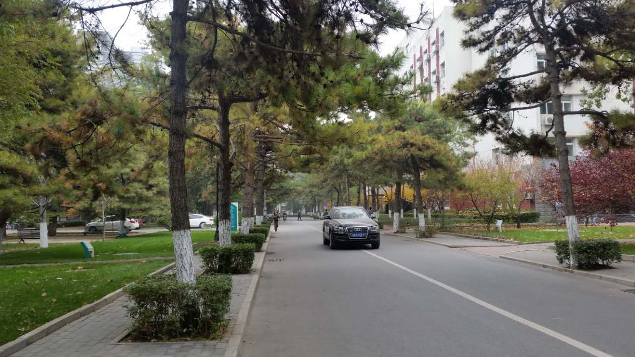 走进北师大,走进京师校园