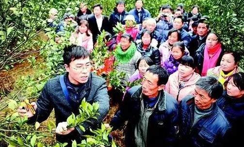 农村当下最火职业,农村常见的100个职业