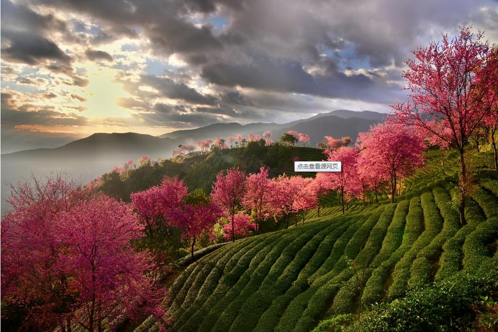 妙香佛国养生福地,妙香佛国人间净土