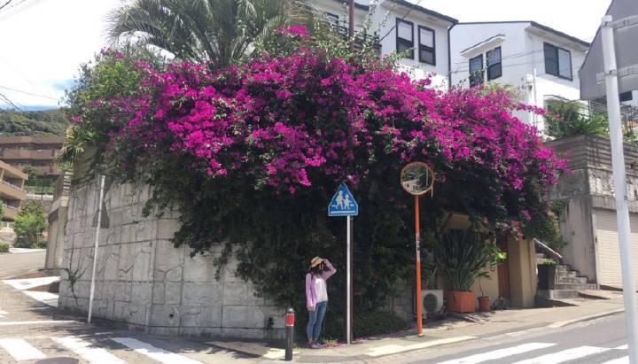 谁说分享只能是分享好东西！东京买买买抱怨来袭