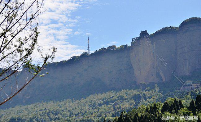 新疆野鹅自驾游视频,野鹅圣诞节自驾游