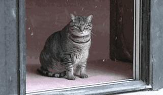 遇上一个风不正经的冬天，是时候来膜拜一下羽绒服界的杠把子了