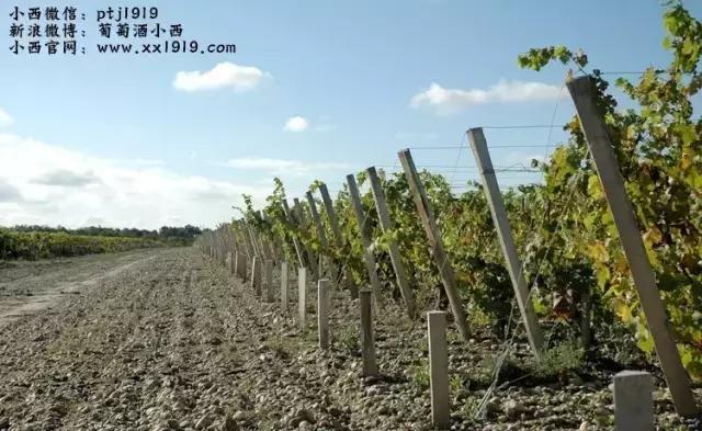 小西红酒杂谈1---梅多克