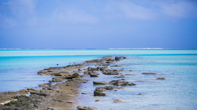 库克，上帝最秘密的存在