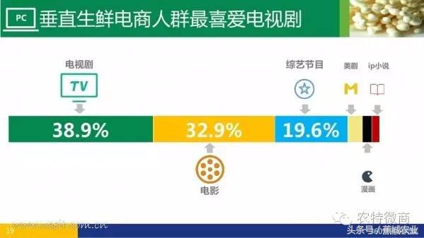 生鲜电商行业市场数据报告,中国生鲜电商发展简报2013年