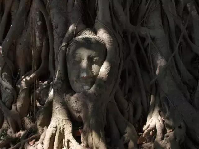 自驾游曼谷,成都到泰国自驾游攻略