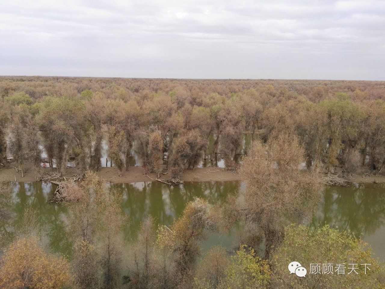 *疆新**也是绿水潺潺的秀美水乡