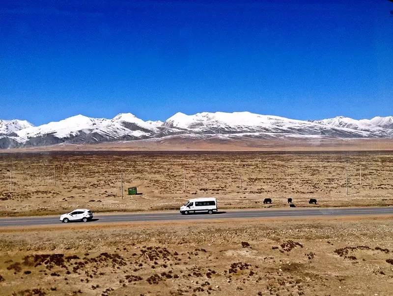 穷游小伙穷游西藏身体终于累垮,10年前穷游西藏