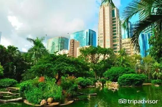 香港血拼必买攻略,香港攻略买买买