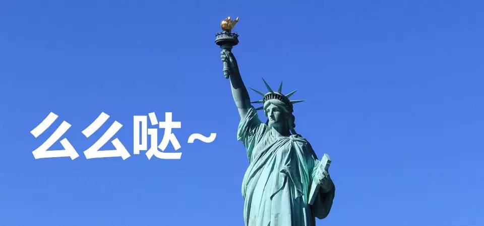 自由女神是众筹的吗,什么是自由女神