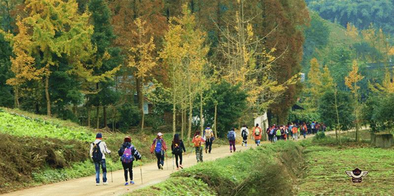 成都春季户外好去处,成都今年最火的地方在哪里