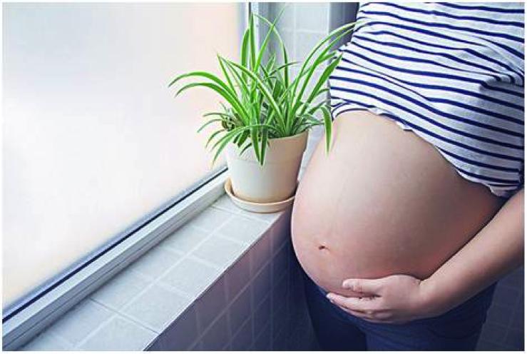 生娃其实没那么可怕，准妈妈快吞下这颗临产定心丸！