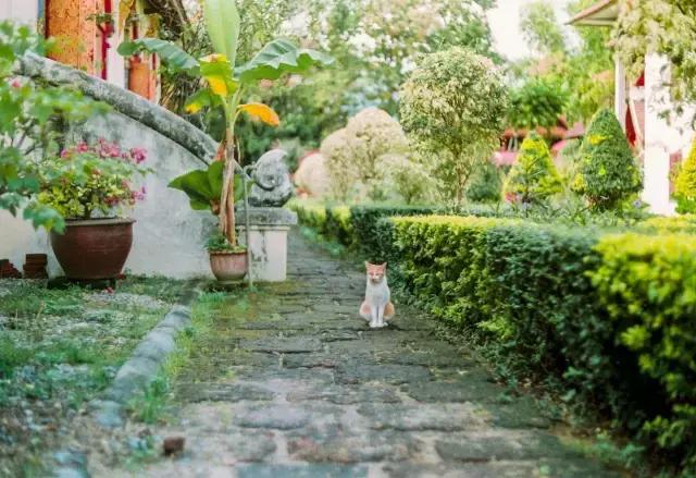 自驾游曼谷,成都到泰国自驾游攻略