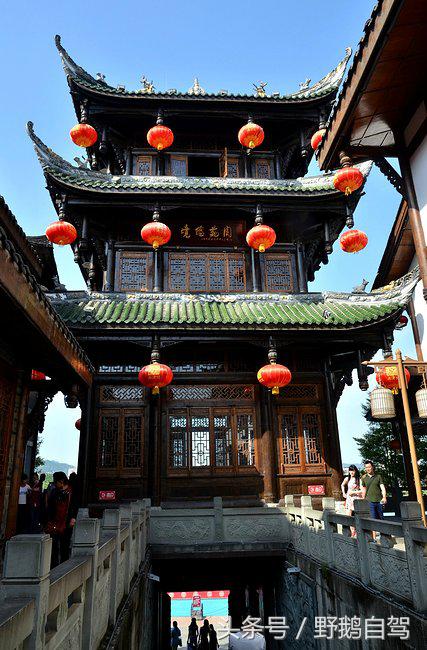 新疆野鹅自驾游视频,野鹅圣诞节自驾游