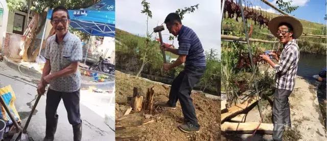 what缃戠孩瑙嗛,what缃戠孩