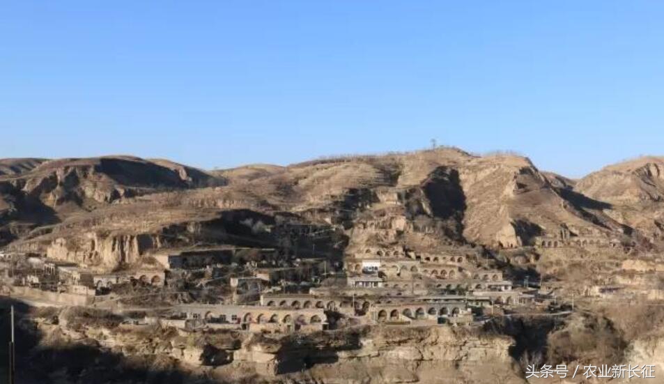 寰█澶т箟鍏ㄦ枃,寰█澶т箟瀹屾暣瑙嗛