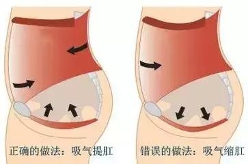提肛运动害人？是你还没有get到它的正确打开方式吧