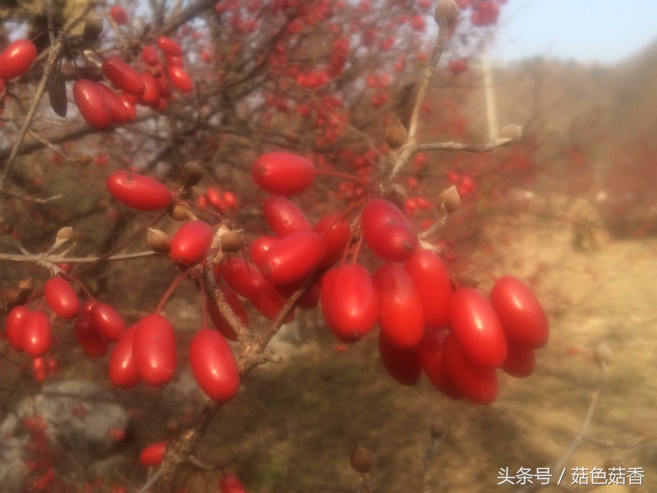 冲击钻三个功能各有什么用,冲击钻作用有哪些