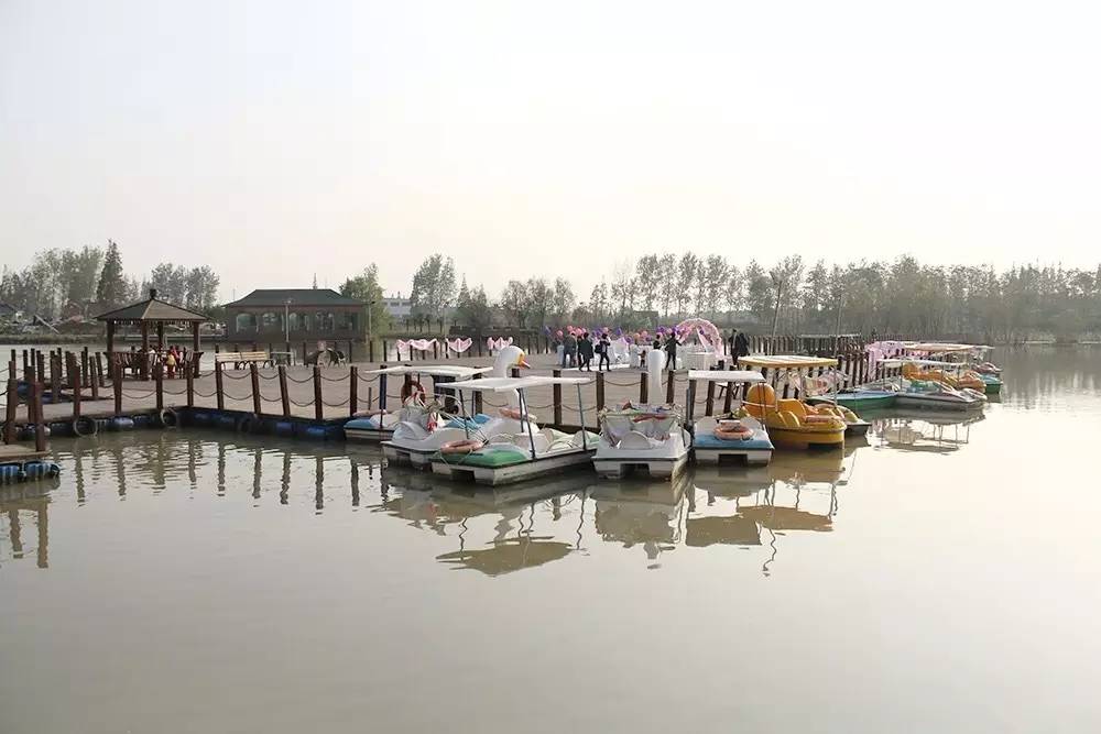 原来在宿舍也可以这么快乐,原来在大连也可以享受洱海