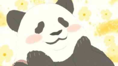 四川大熊猫栖息地在哪个位置,3分钟了解四川大熊猫栖息地