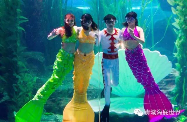 青威烟荣城际,青威烟荣城际高铁