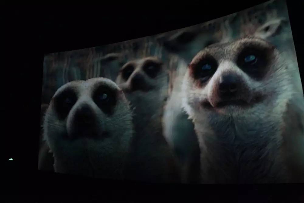 终于等到你!郑州惠济万达广场盛大开幕