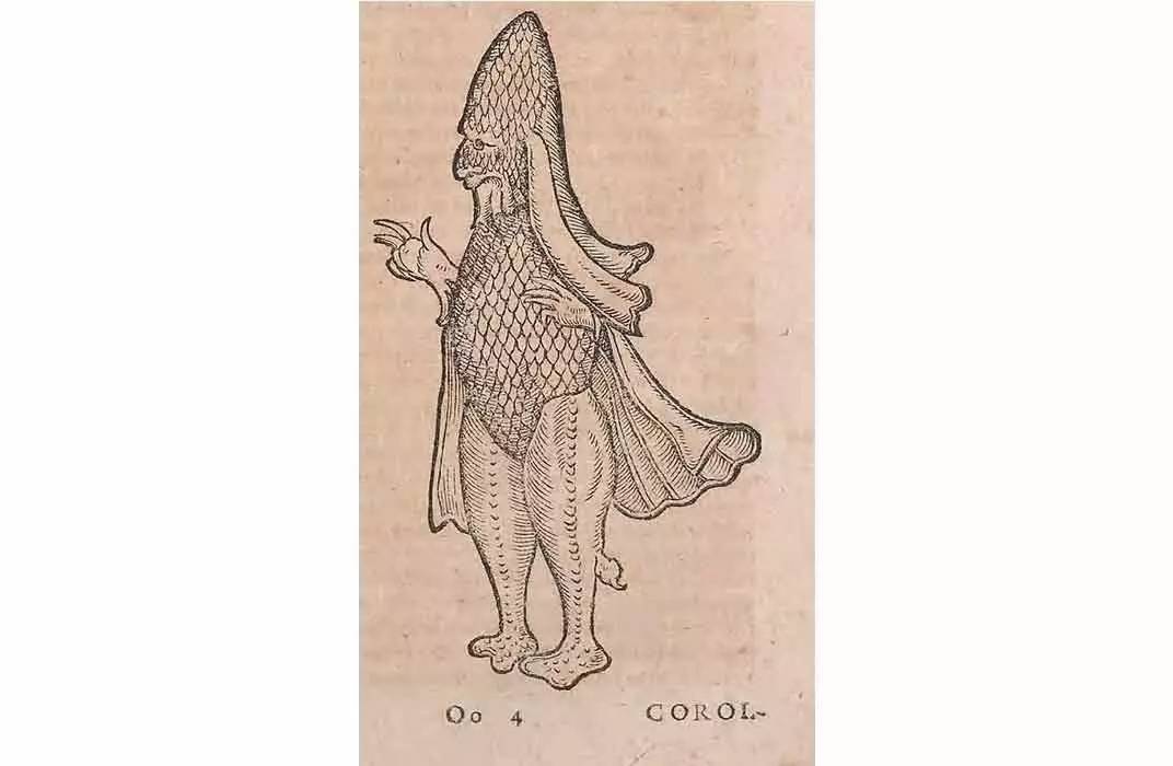 海妖恐怖故事,关于海怪的恐怖传说