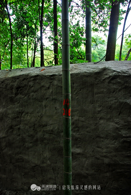 漫步缙云“自然小径”书写自然笔记