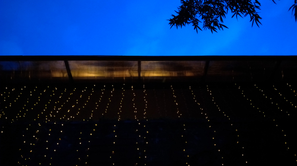 拍照体验好的手机,opporeno7pro拍照评测