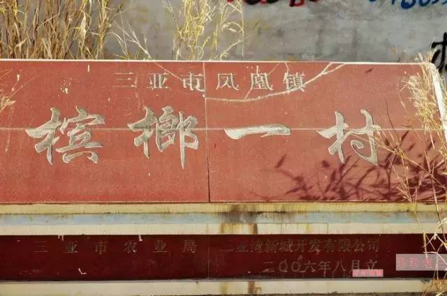 「头条」大咖在三亚实地走访、体验、调研的七条路线，都在这了！