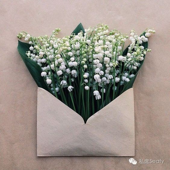 姨妈期过后怎么才能瘦的更快,经期做这几件事让你暴瘦