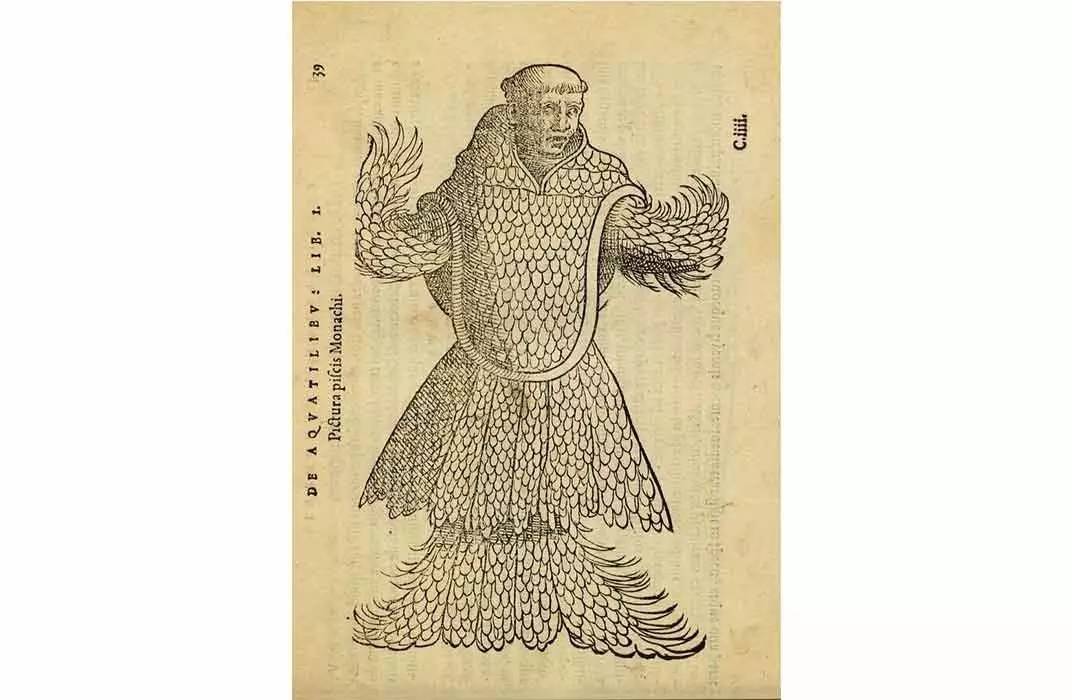 海妖恐怖故事,关于海怪的恐怖传说