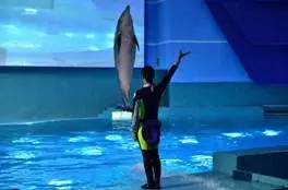 旅游景区收到游客投诉价格偏高,景区门票调价投诉