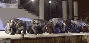 在网上买火车票哪个软件能选座,网上买的火车票能选座吗