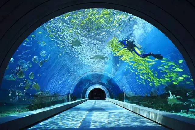 「头条」大咖在三亚实地走访、体验、调研的七条路线，都在这了！