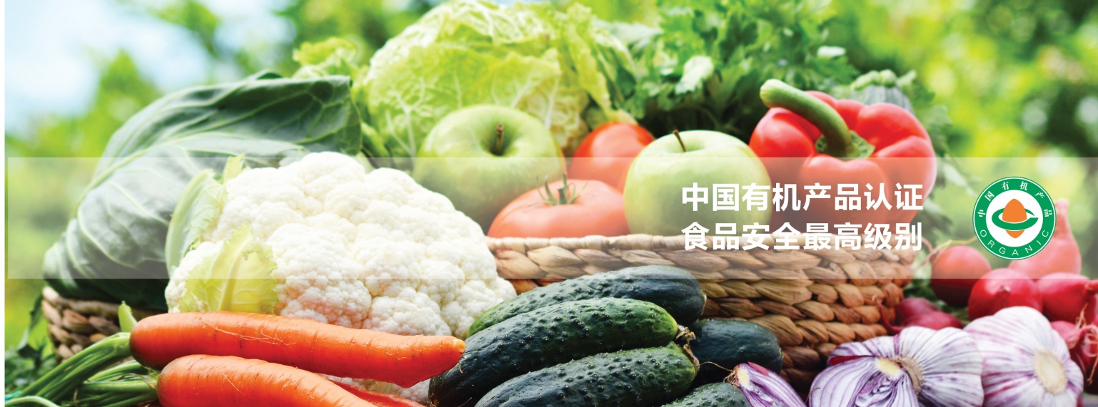 noa挪亚认证怎么样,noa挪亚