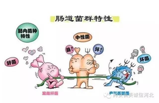 抗生素绝对不能滥用,如何正确使用抗生素不滥用抗生素