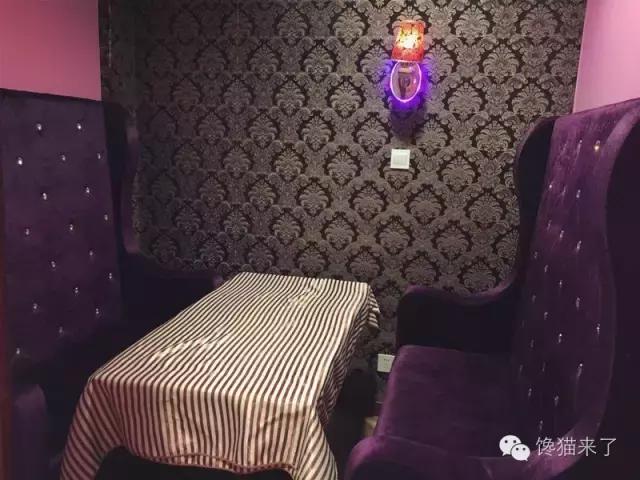 葫芦岛自助小馋猫,馋猫优果葫芦岛旗舰店