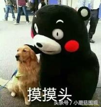 海淘奶粉哪个平台最靠谱,海淘哪个国家最便宜